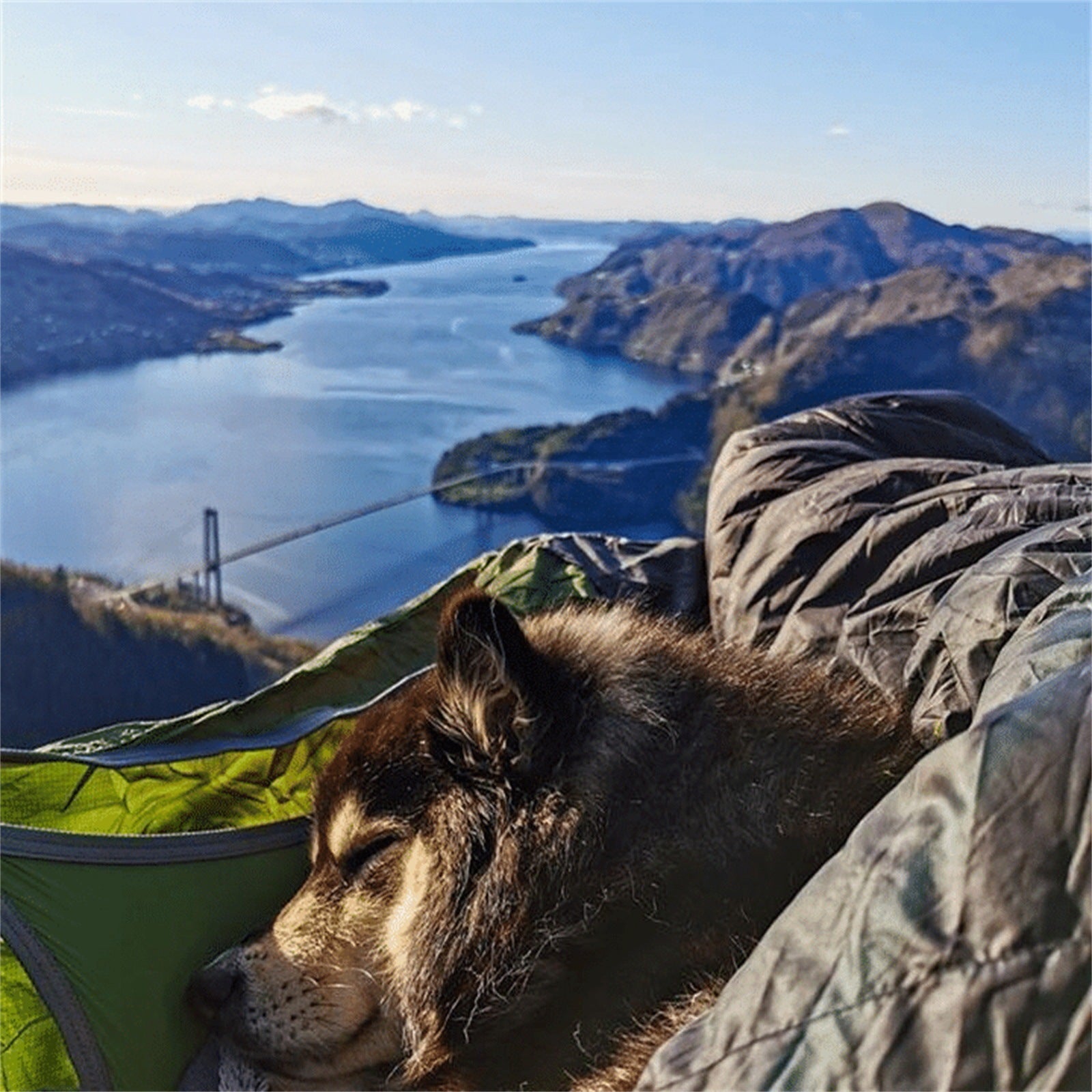 Open Sky - High Strength Sleeping Hammock with Suspension Kit